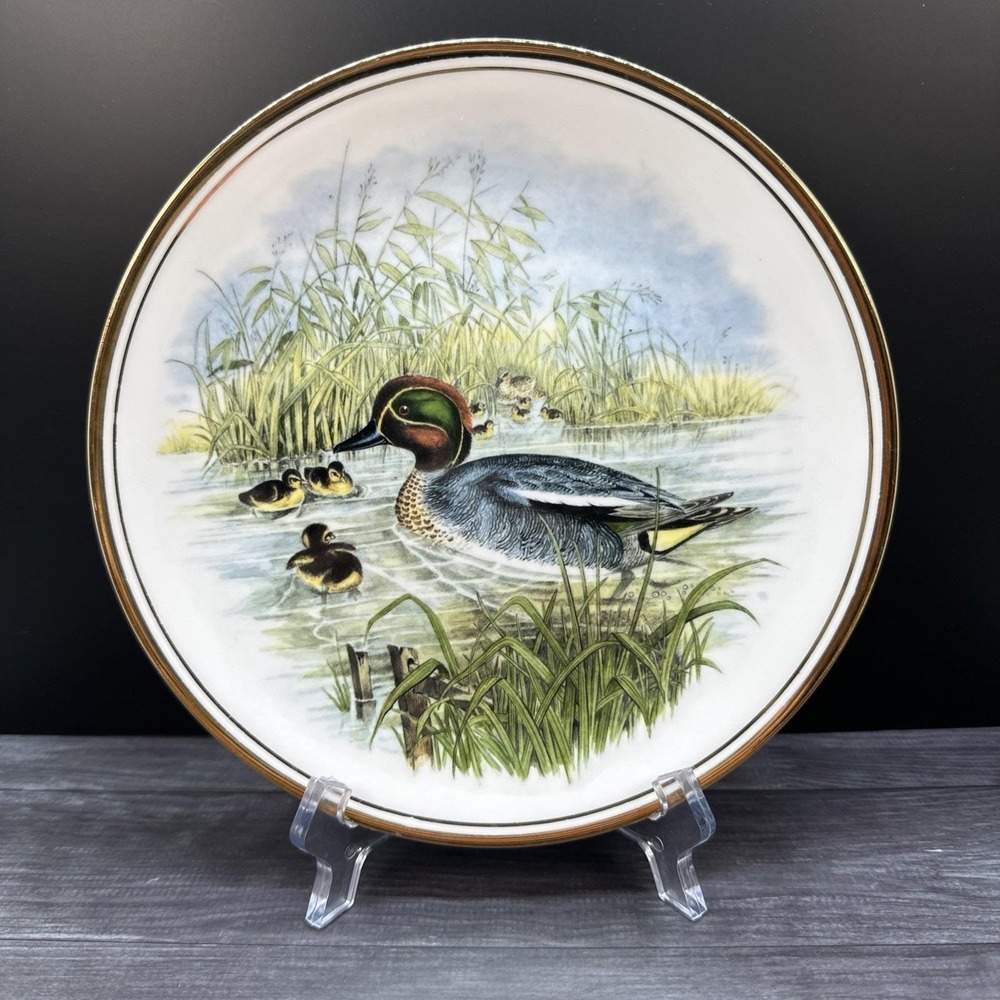The Wildfowl Series No 5 Teal by John Gould Plate Ducks English Fine China
